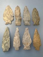 8 Fine Rhyolite Points, Longest is 2 15/16", Found along the Lower Susquehanna River in Pennsylvania