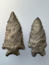 WOW Pair of Coshocton Chert Bifurcate Points, Found in Ohio, Longest 1 7/8" Ex: Stanley Brzoski