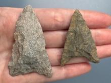 Pair of Rhyolite Triangle Points, Largest is 2 1/2", Found Along Delaware River in PA
