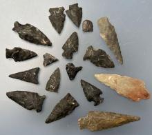 17 Chert and Chalcedony Points, Longest is 2 3/4", Found by Elinor Fehr along Delaware River