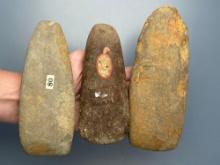 x3 Celts, Longest is 7", x2 Found in Crumpton along Chester River, Queen Anne Co., MD