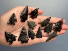 12 Various Obsidian Points, Longest is 1 1/2",Found in Harney Co., Oregon, Ex: Ted Knieriem