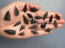 20 Obsidian Arrowheads, Longest is 1 3/16",Found in Harney Co., Oregon, Ex: Ted Knieriem