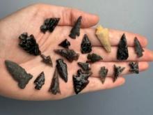 20 Mostly Obsidian Arrowheads, Longest is 1 1/4"Found in Harney Co., Oregon, Ex: Ted Knieriem