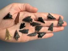 20 Obsidian and Agate Arrowheads, Longest is 1 1/8",Found in Harney Co., Oregon, Ex: Ted Knieriem