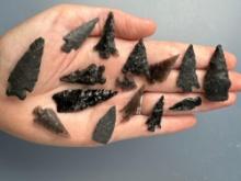 15 Larger Obsidian Points, Longest is 1 3/4",Found in Harney Co., Oregon, Ex: Ted Knieriem