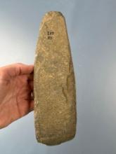 LARGE 8 3/8" Adze, Polished Bit, Found in Durham, Connecticut on the Lone Pine Site