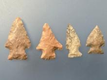 4 Fine Birdpoints, Longest is 1 1/16", Found in Greenwood Co., Kansas by Terry Miller