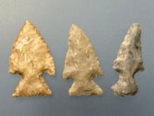 3 Corner Notch Birdpoints, Longest is 7/8", Found in Greenwood Co., Kansas by Terry Miller