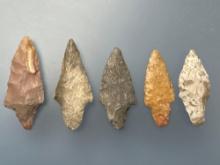 5 Stem Points, Longest is 2 1/8", Found in Ponca City, Kay Co., Oklahoma by Terry Miller