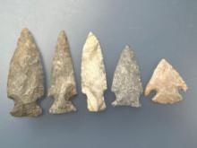 4 High-Quality Arrowheads, Longest is 2 7/8", Found in Ponca City, Kay Co., Oklahoma by Terry Miller