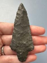 FINE 3 1/2" Black Chert Dickson Found in Jefferson Co., Kansas by Terry Miller