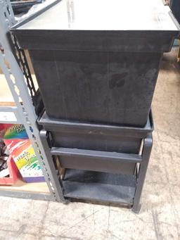 2 STORAGE ORGANIZER BINS