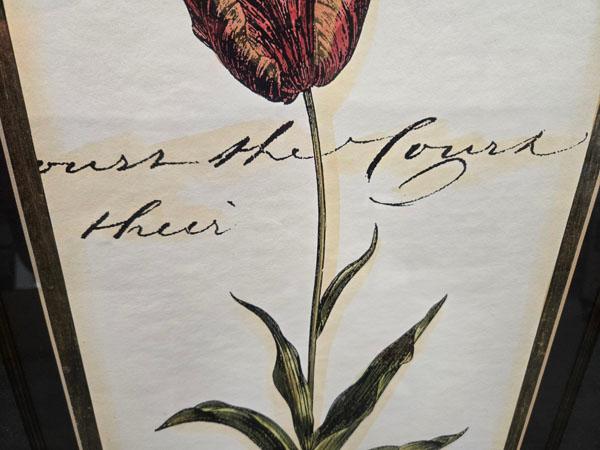 SET OF DECORATIVE FRAMED FLORAL PRINTS- LEFT: "LES FLUERS" RETAILING FOR $ MEASURING 19.5" X 25.5" ,