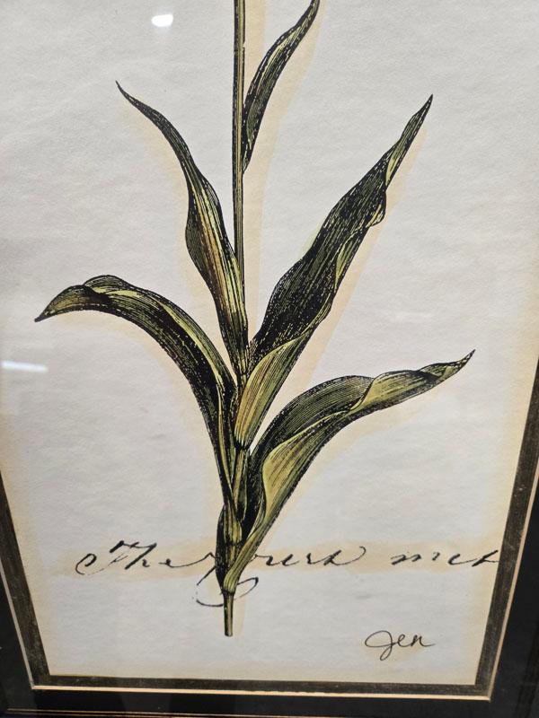 SET OF DECORATIVE FRAMED FLORAL PRINTS- LEFT: "LES FLUERS" RETAILING FOR $ MEASURING 19.5" X 25.5" ,