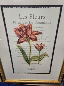 SET OF DECORATIVE FRAMED FLORAL PRINTS- LEFT: "LES FLUERS" RETAILING FOR $ MEASURING 19.5" X 25.5" ,