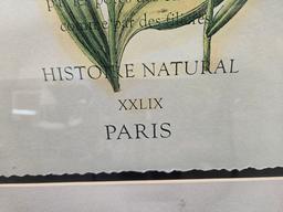SET OF DECORATIVE FRAMED FLORAL PRINTS- LEFT: "LES FLUERS" RETAILING FOR $ MEASURING 19.5" X 25.5" ,