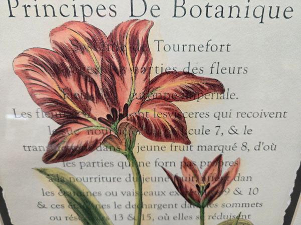 SET OF DECORATIVE FRAMED FLORAL PRINTS- LEFT: "LES FLUERS" RETAILING FOR $ MEASURING 19.5" X 25.5" ,