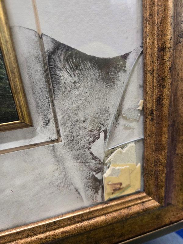 FRAMED LEAF ARTWORK - ARTIST SIGNED - AS IS - GLASS IS BROKEN AND MAT IS DAMAGED