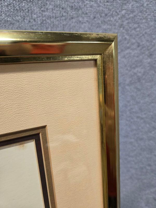 FRAMED "IRIS" ART- ARTIST SIGNED AND NUMBERED 27/300 WITH CERTIFICATE OF AUTHENTICITY - 19.5" X 31.5
