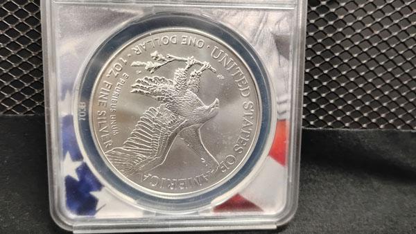 (2) 2022 $1 SILVER EAGLE FIRST STRIKE COINS
