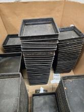 50 SQUARE PANS - 10"