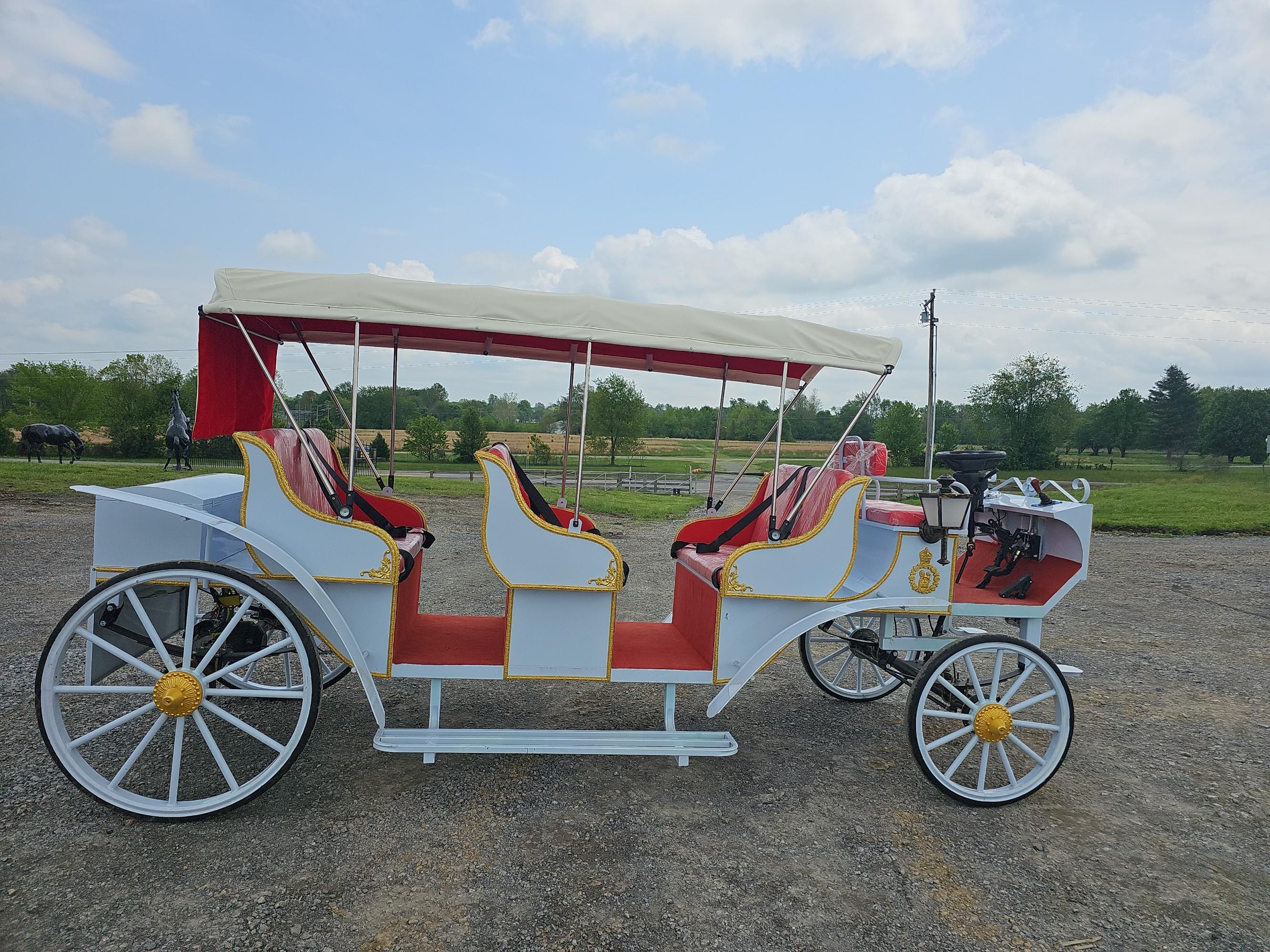 Electric Carriage