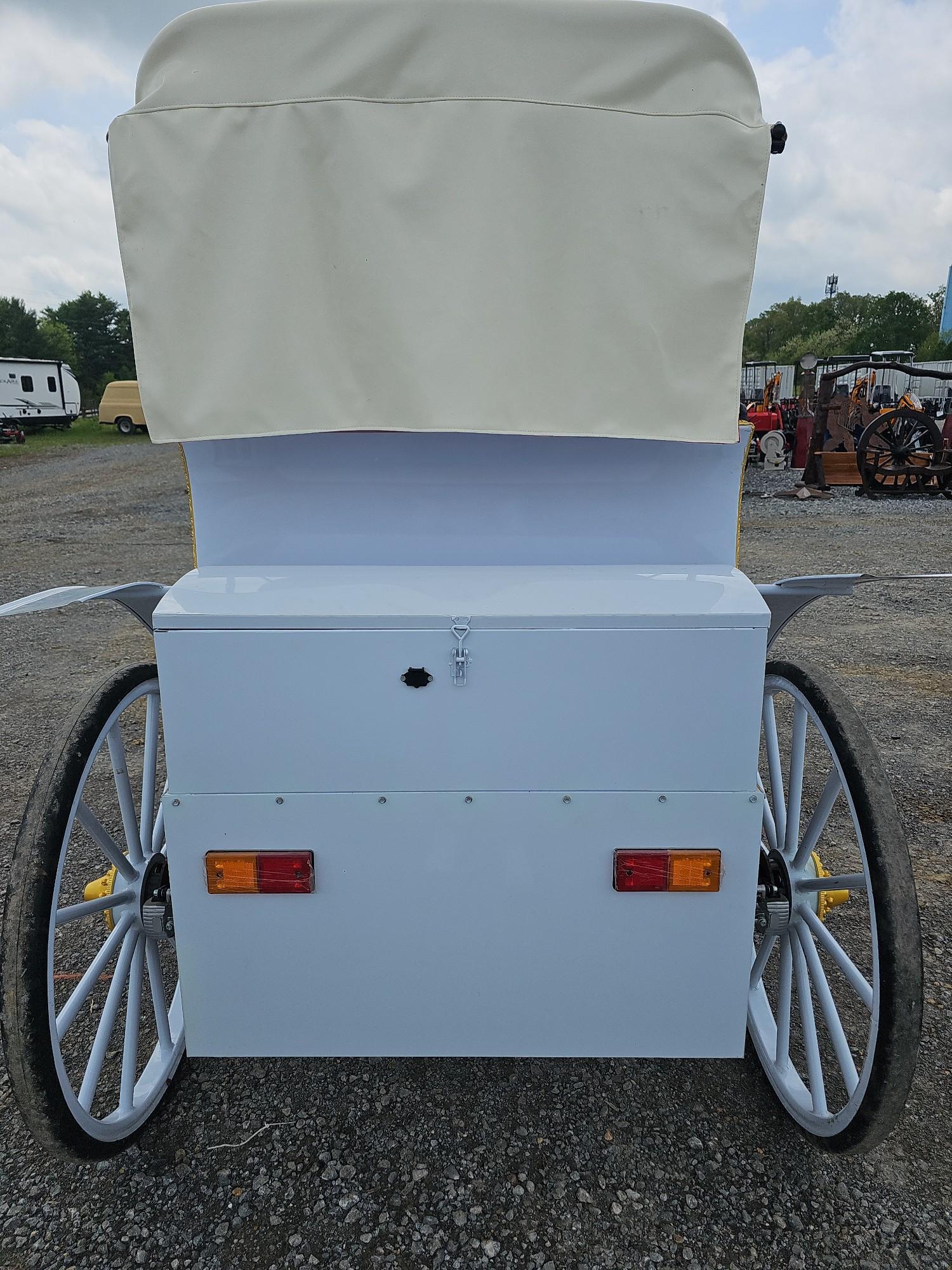 Electric Carriage