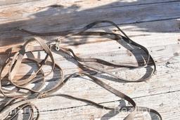 Team driving reins