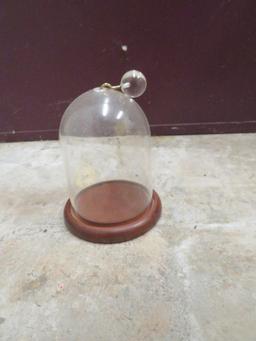 GLASS CLOCHE WITH WOOD BASE