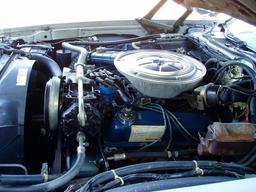 302Ci V8 - Automatic transmission - New Dual exhaustDeluxe Marti report. On