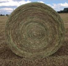 Hay Bales - TX NATIVE GRASSES