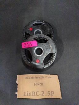 Set of Two 2.5lb Plates From Balance RC