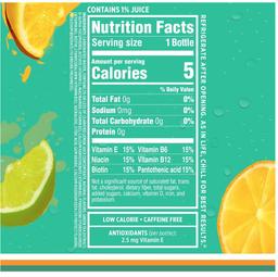 5 Cases - 12 Packs Sparkling Ice Drinks - Lemon Lime Water 17fl Oz Bottles - 60 Bottles Total