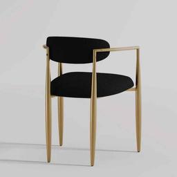 Armchair Dining Chair (Set of 2)