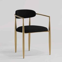 Armchair Dining Chair (Set of 2)