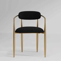 Armchair Dining Chair (Set of 2)