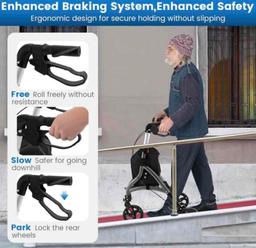 3 Wheel Rolling Walker