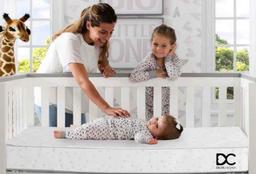 Delta Children Crib and Toddler Mattress