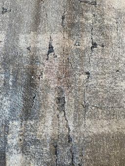 Icon area rug doma gray Rug Size: 5 ft. 3 in. x 7 ft.