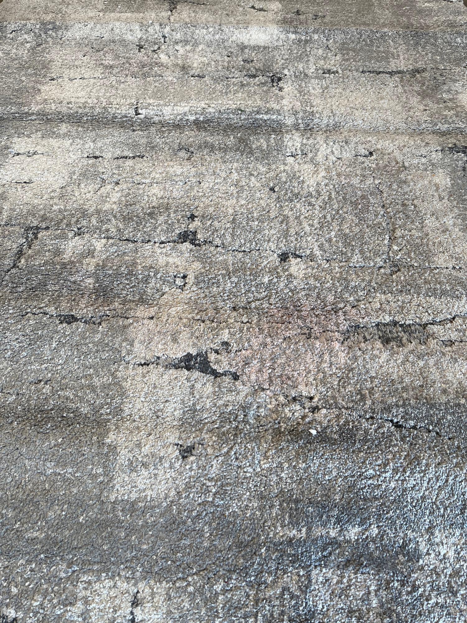 Icon area rug doma gray Rug Size: 5 ft. 3 in. x 7 ft.