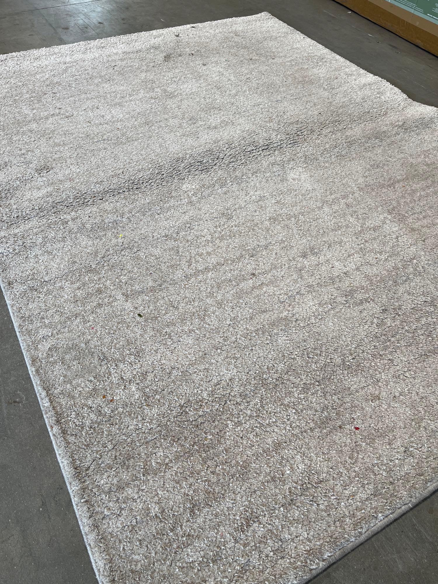 Icon area, rug collection Rug Size: 5 ft. 3 in. x 7 ft.