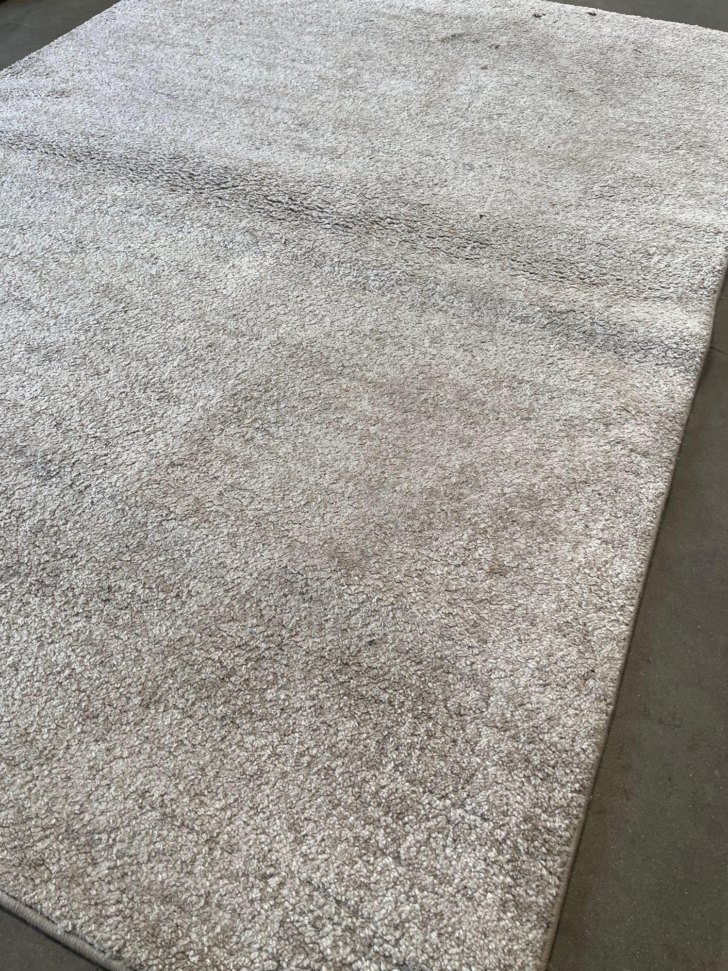 Icon area, rug collection Rug Size: 5 ft. 3 in. x 7 ft.