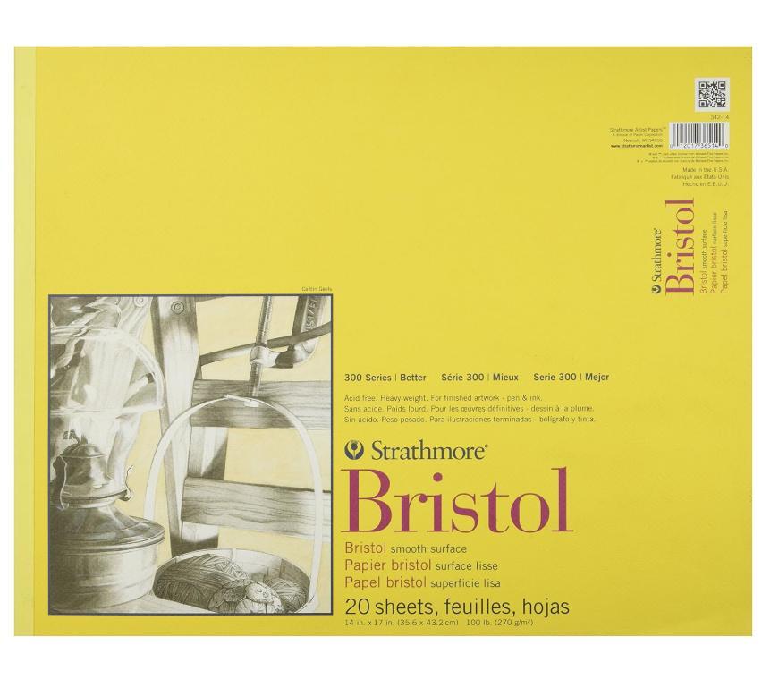 Qty 12 Strathmore 300 Series Bristol Paper Pad, Smooth, Tape Bound, 14x17 inches
