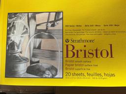 Qty 12 Strathmore 300 Series Bristol Paper Pad, Smooth, Tape Bound, 14x17 inches