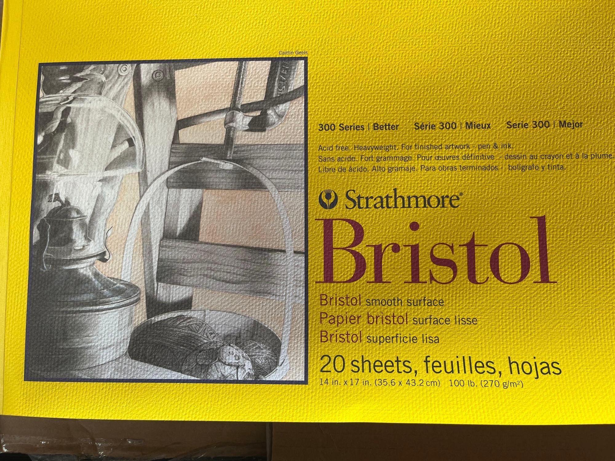 Qty 12 Strathmore 300 Series Bristol Paper Pad, Smooth, Tape Bound, 14x17 inches