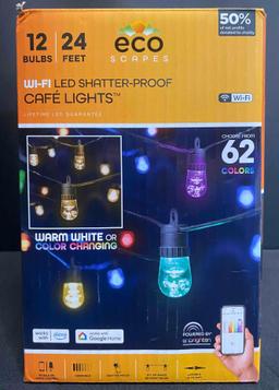 EcoScapes by Enbrighten 24' Outdoor Wi-Fi Color-Changing LED Cafe String Lights