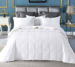 Globon Summer Down ComforterBlanket Twin XL Size