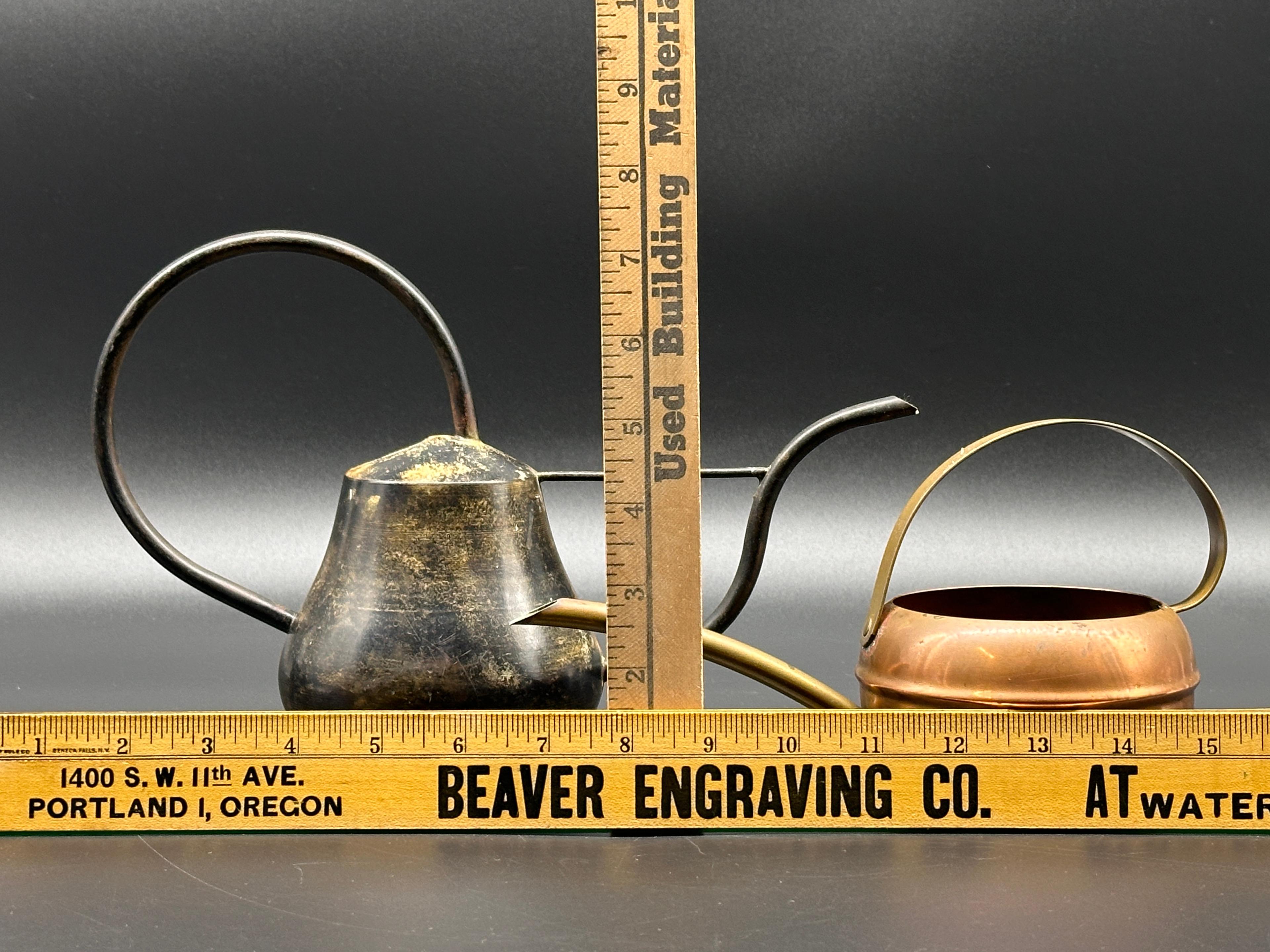 Watering Cans and Blue Glass Watering Bulbs