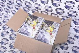 Case of Comic Books